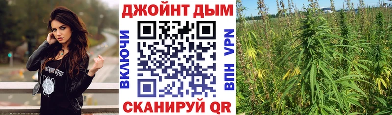 Конопля индика  цены   Владимир 